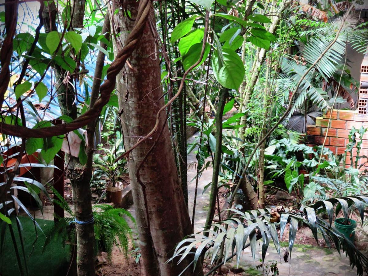 Hospedaje Ecologico Purma Wasi Tarapoto Buitenkant foto