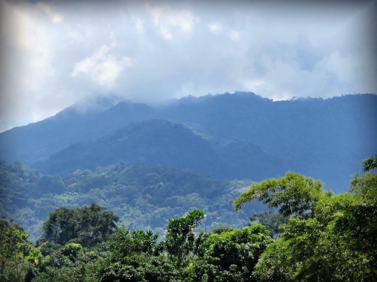 Hospedaje Ecologico Purma Wasi Tarapoto Buitenkant foto